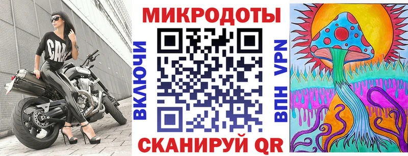 закладки  Петров Вал  Псилоцибиновые грибы Psilocybe 